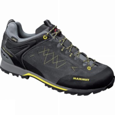 Mens Ridge Low WL GTX Boot